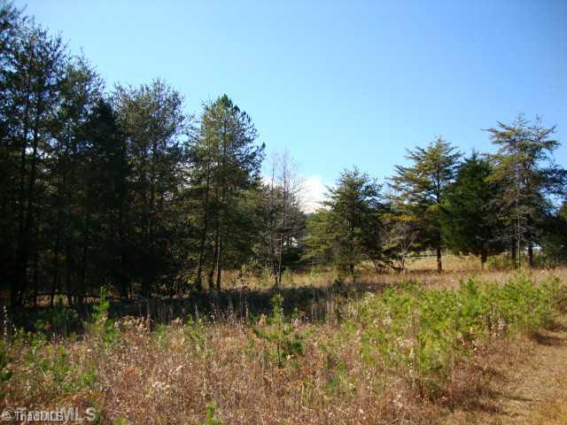 0 Gordon Road Pinnacle, NC 27043 - Photo 8 of 16 Land/Lot.