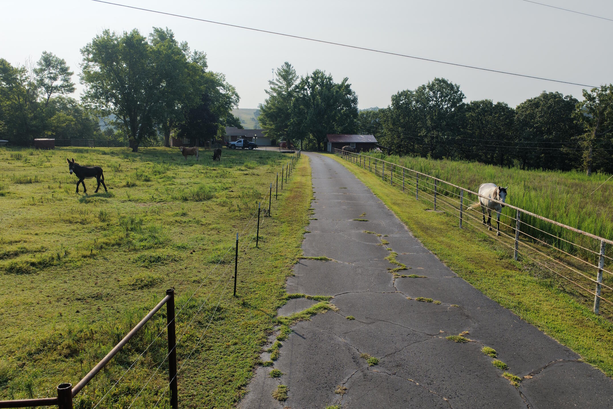 173 McCray Road Gainesville, MO 65655 - Photo 38 of 41 DJI_20260804084044_0106_D