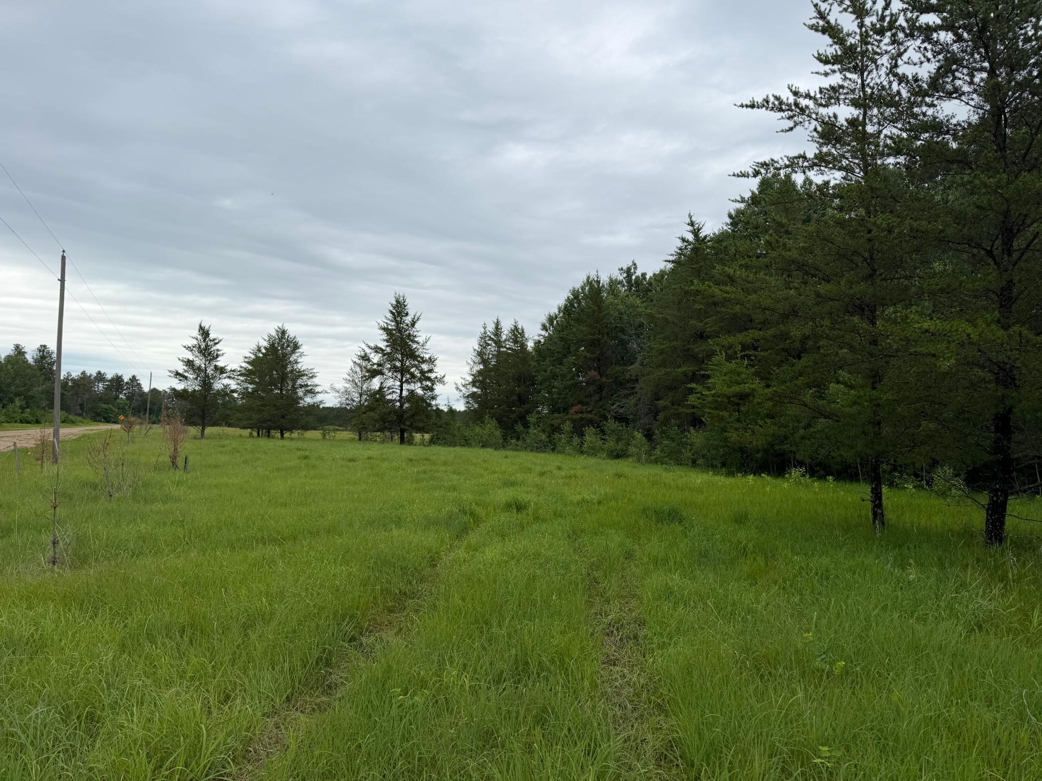 Tbd 350th Street Sebeka, MN 56477 - Photo 59 of 100