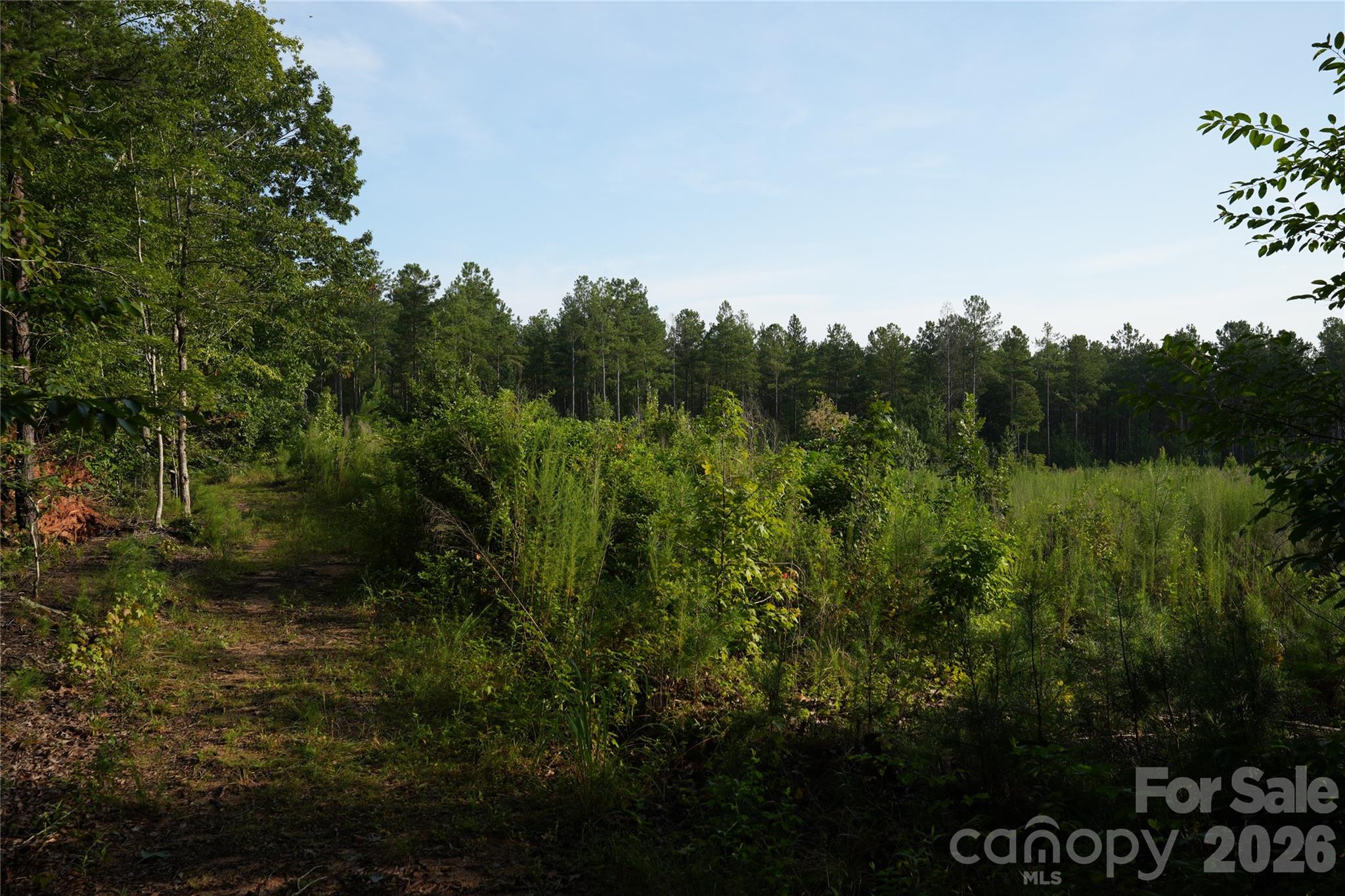 0 Bobby Faucette Road, Unit 4 Jonesville, SC 29353 - Photo 10 of 21 Gallery Image 10
