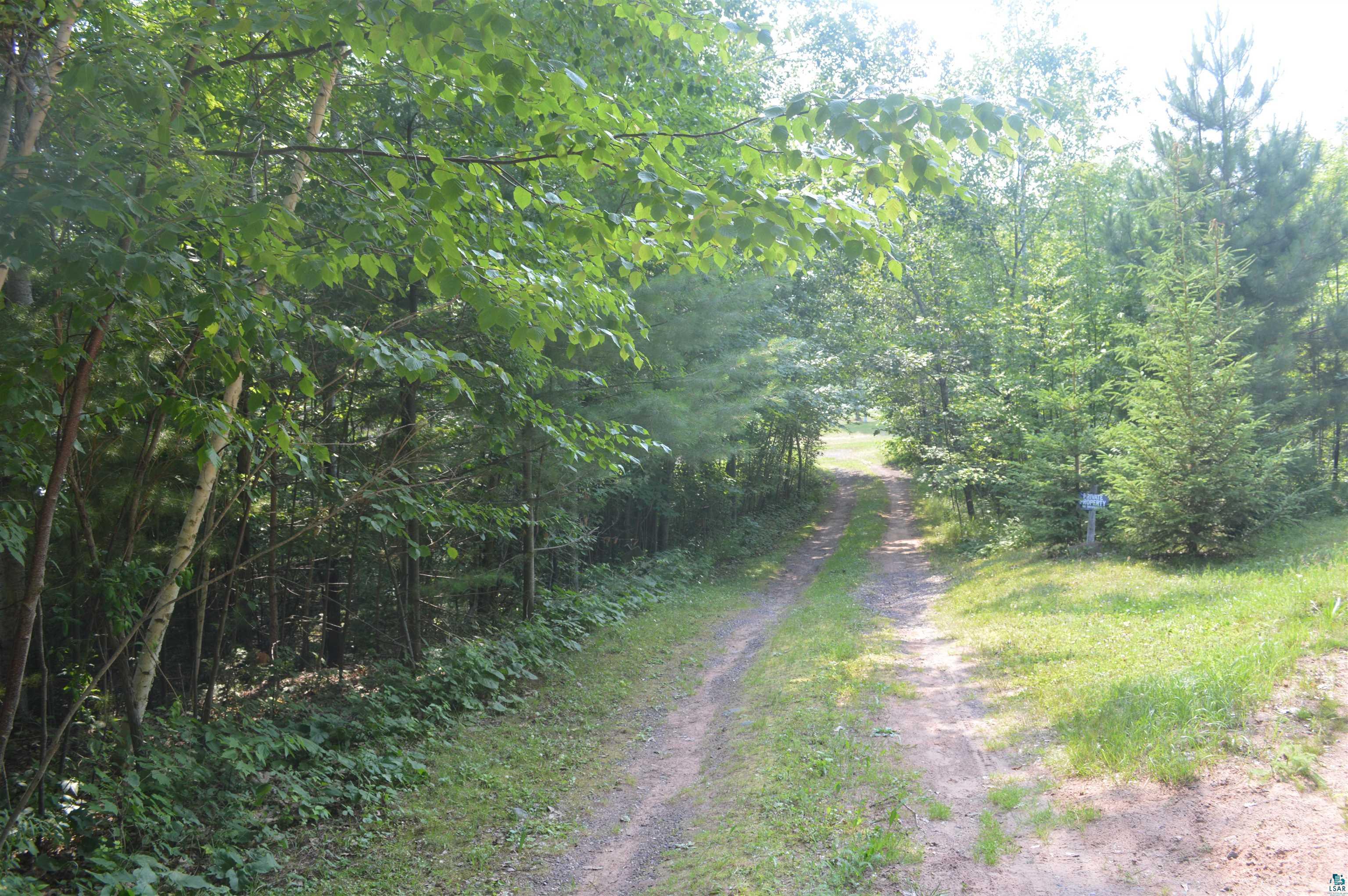 8467 County Rd P Lake Nebagamon, WI 54849 - Photo 20 of 25 Gravel drive winding through dense mature trees and lush green foliage