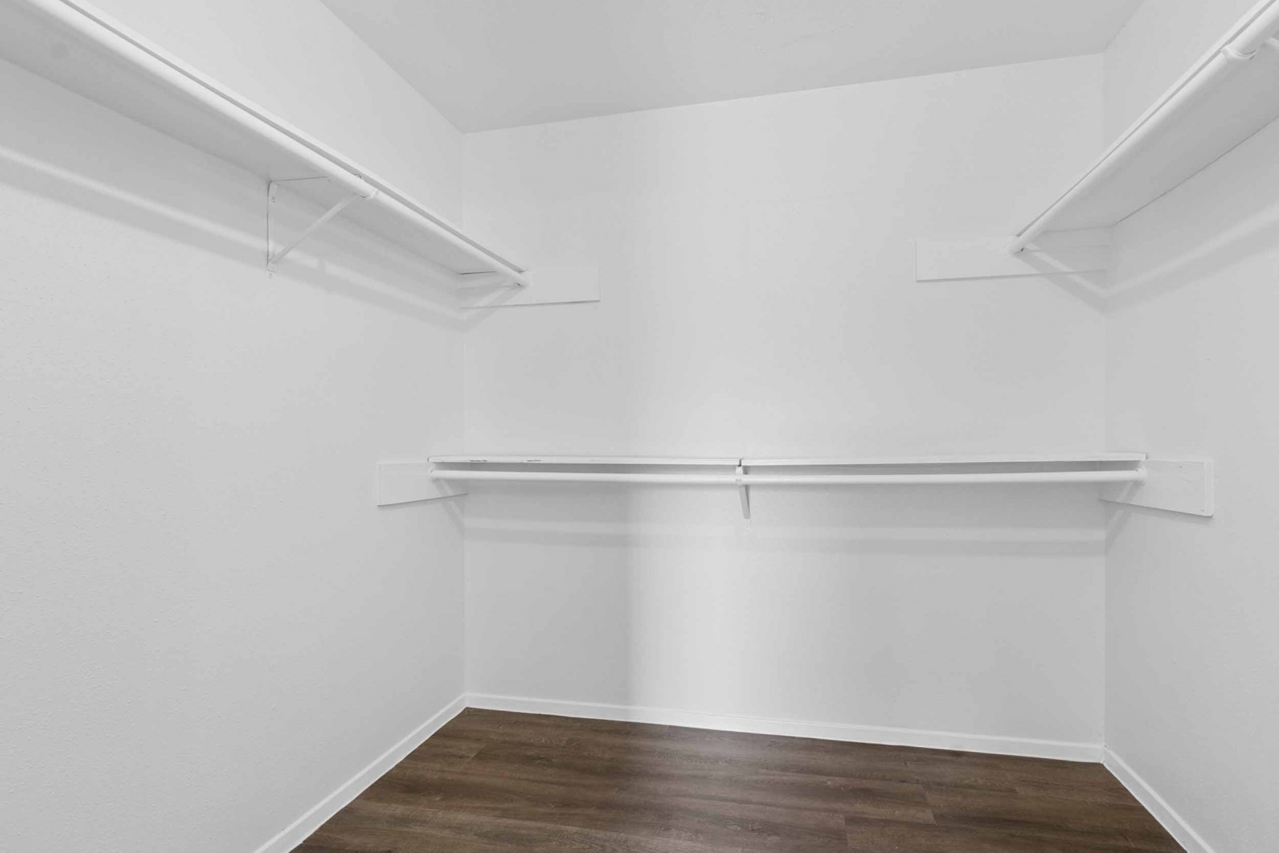 10411 Rabbit Oak Drive Houston, TX 77065 - Photo 18 of 22 Spacious walk-in closet with multiple shelves for storage in primary bedroom