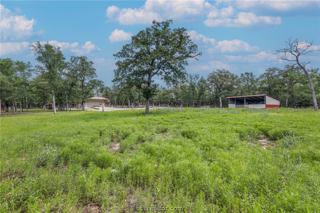 7132 Serenity Ranch Road Somerville, TX 77879 - Photo 12 of 27
