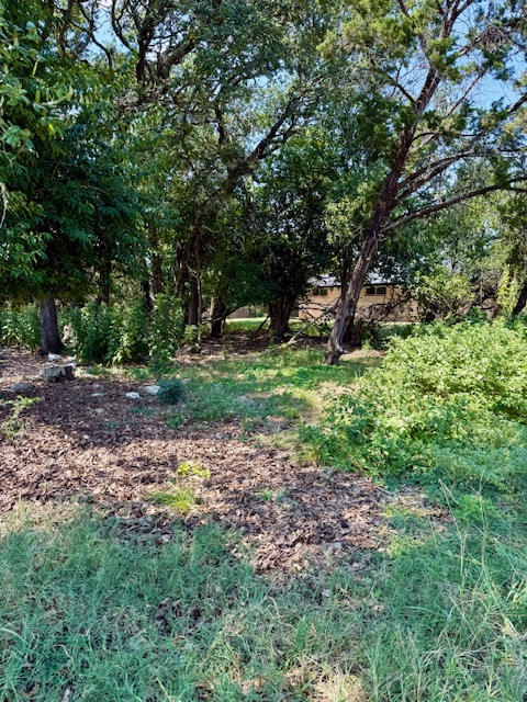 28 Cheyenne Trail Belton, TX 76513 - Photo 4 of 16 View of undeveloped land