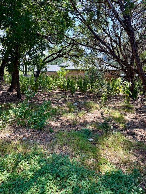 28 Cheyenne Trail Belton, TX 76513 - Photo 9 of 16 View of local wilderness