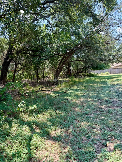 28 Cheyenne Trail Belton, TX 76513 - Photo 10 of 16 View of yard