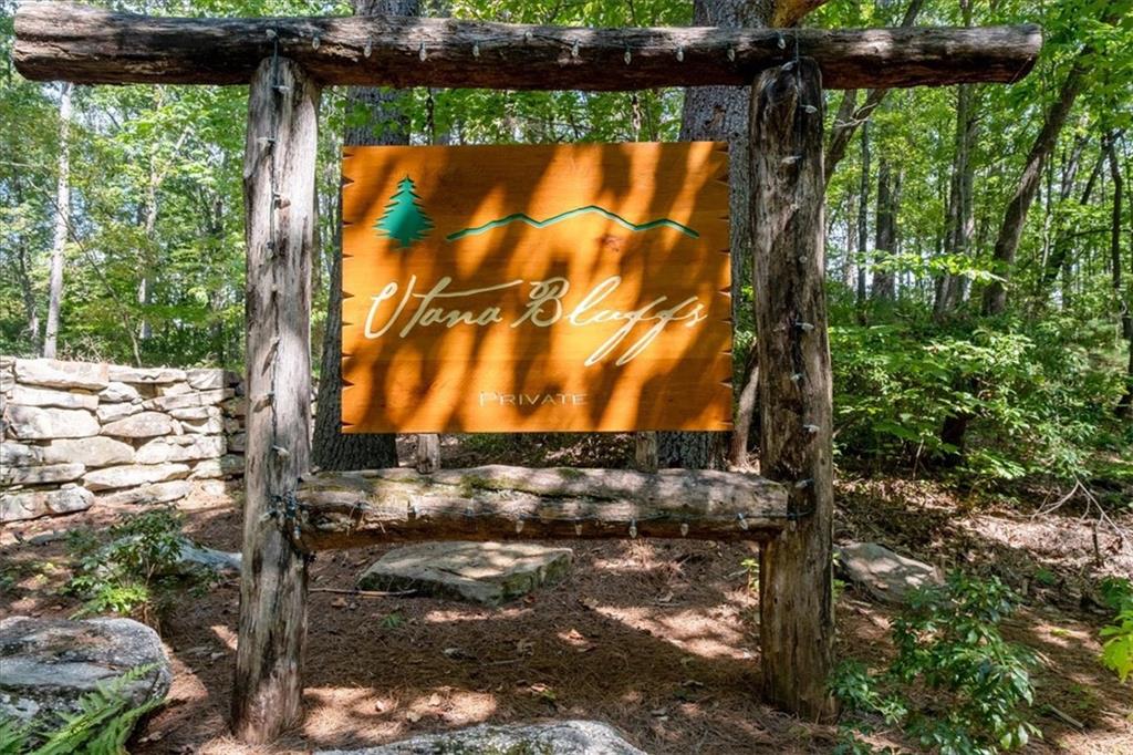 207 Utana Blfs Trail Ellijay, GA 30540 - Photo 69 of 95
