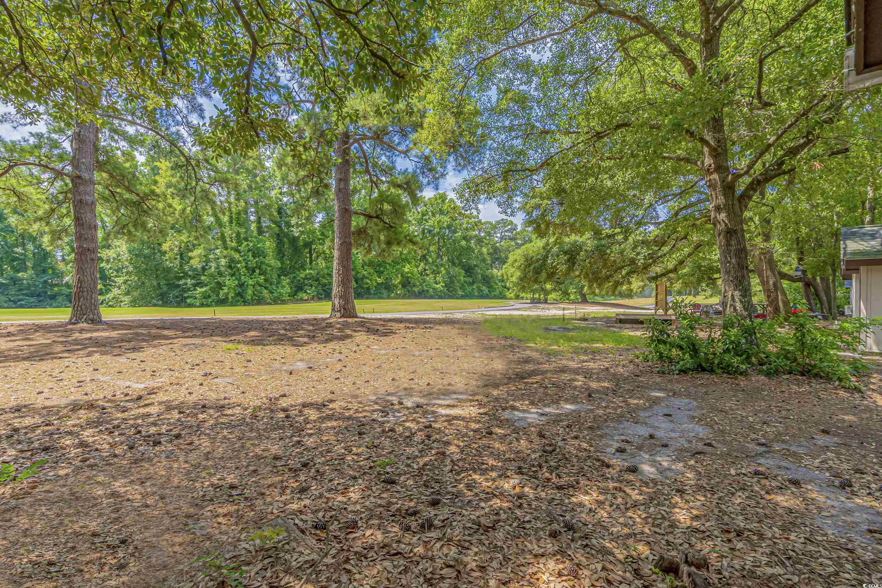 159 Quail Run Conway, SC 29526 - Photo 12 of 19