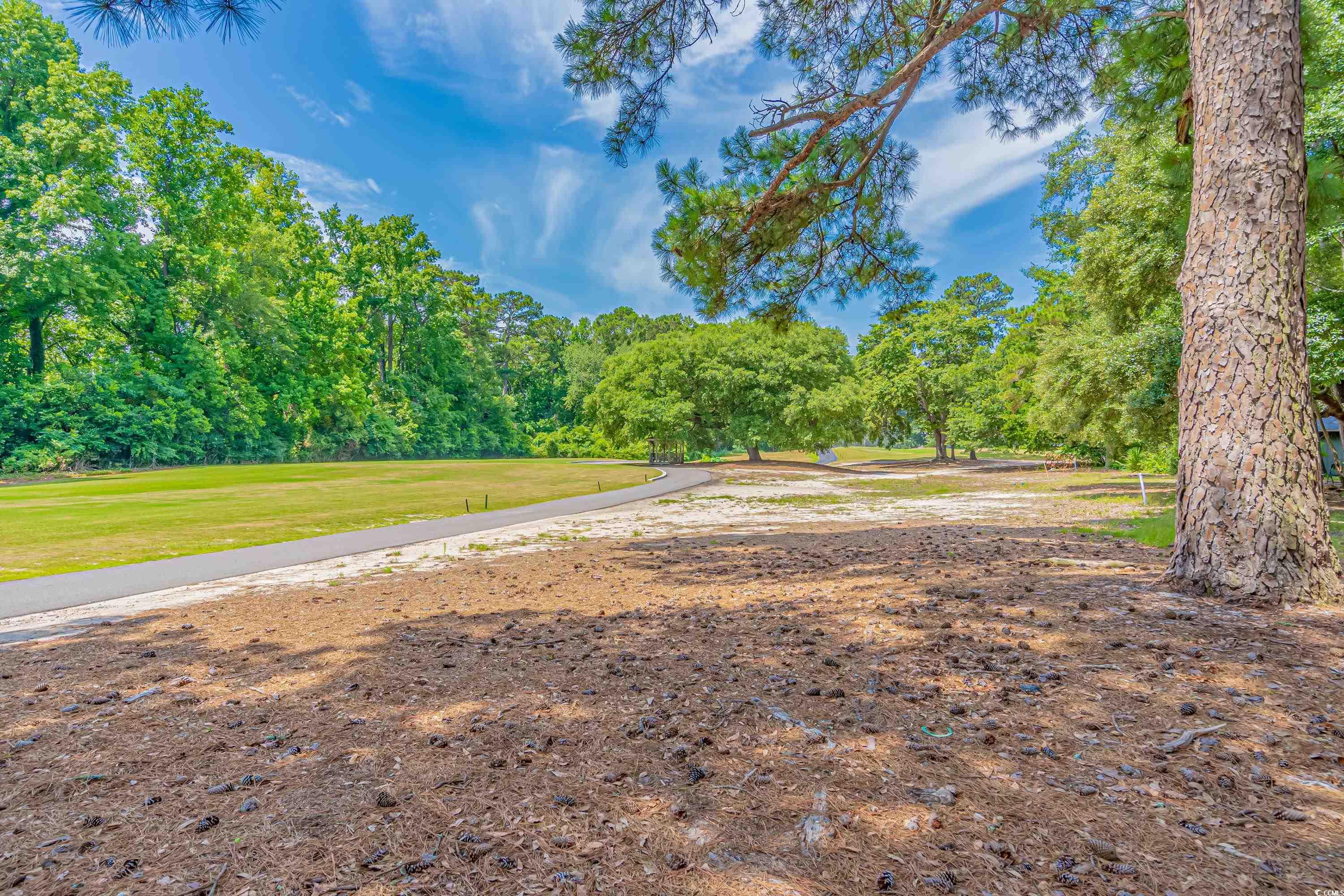 159 Quail Run Conway, SC 29526 - Photo 13 of 19