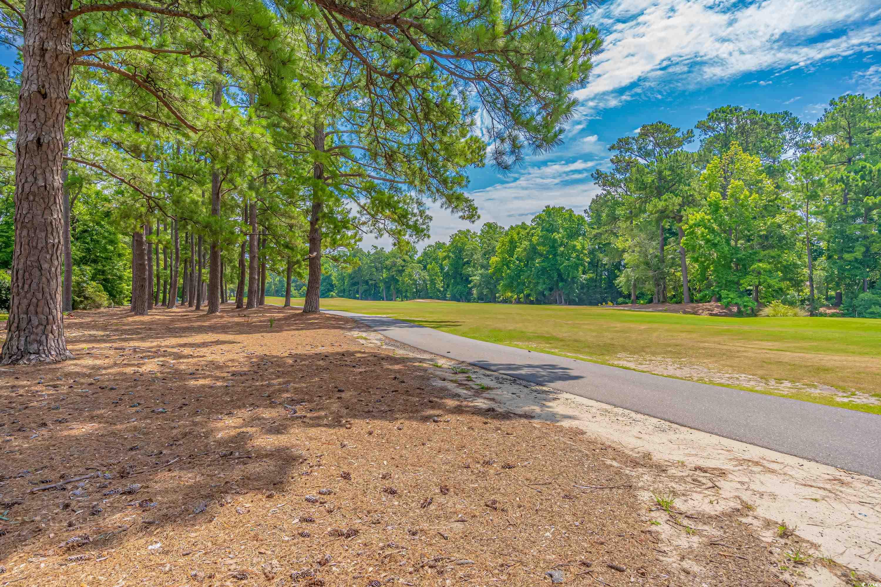 159 Quail Run Conway, SC 29526 - Photo 14 of 19