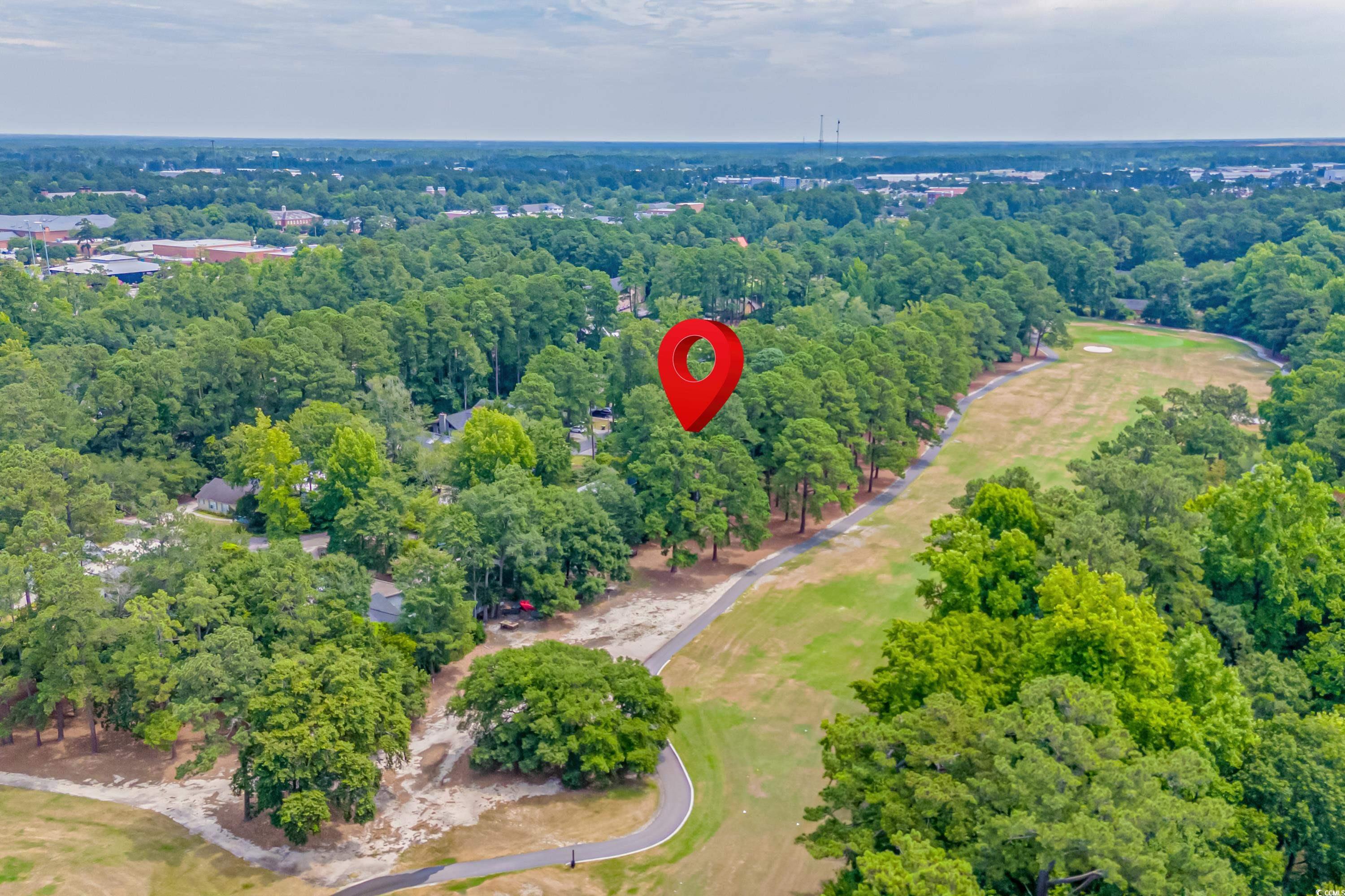 159 Quail Run Conway, SC 29526 - Photo 3 of 19