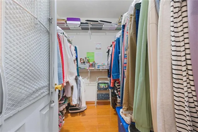 a view of a closet with storage