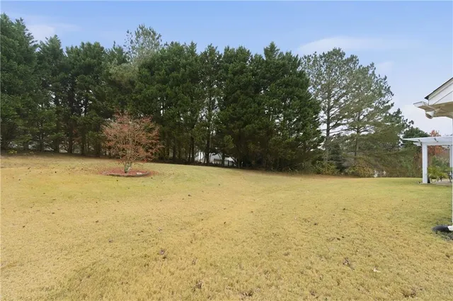 a view of yard and tree