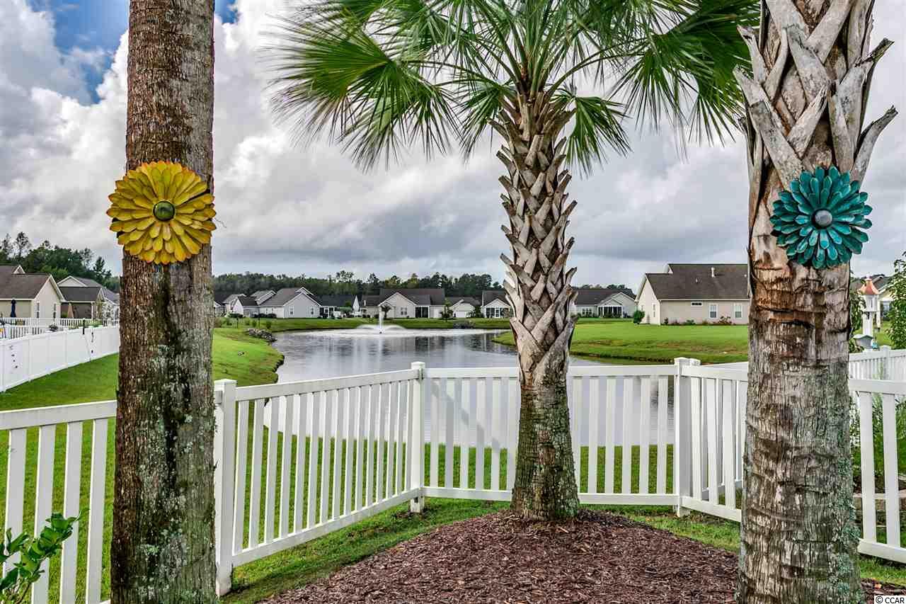 321 Southern Breezes Circle Murrells Inlet, SC 29576 - Photo 31 of 34 Gallery Image 31