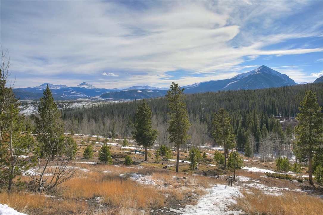 9401 Ryan Gulch Road, Unit 4 Silverthorne, CO 80498 - Photo 22 of 26 Gallery Image 22