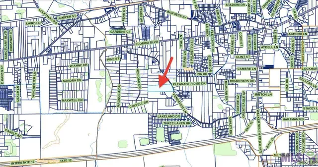 $475,000 | 12436 Pendarvis Lane, Walker, LA 70785