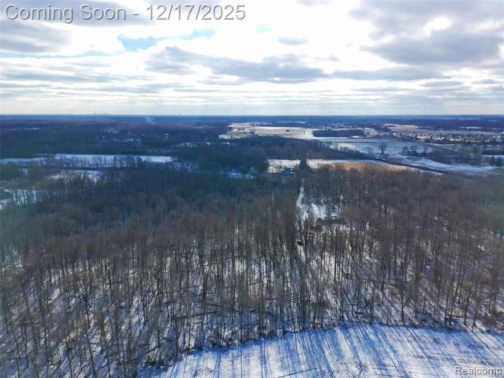 4870 Samaria Road Temperance, MI 48182 - Photo 21 of 37