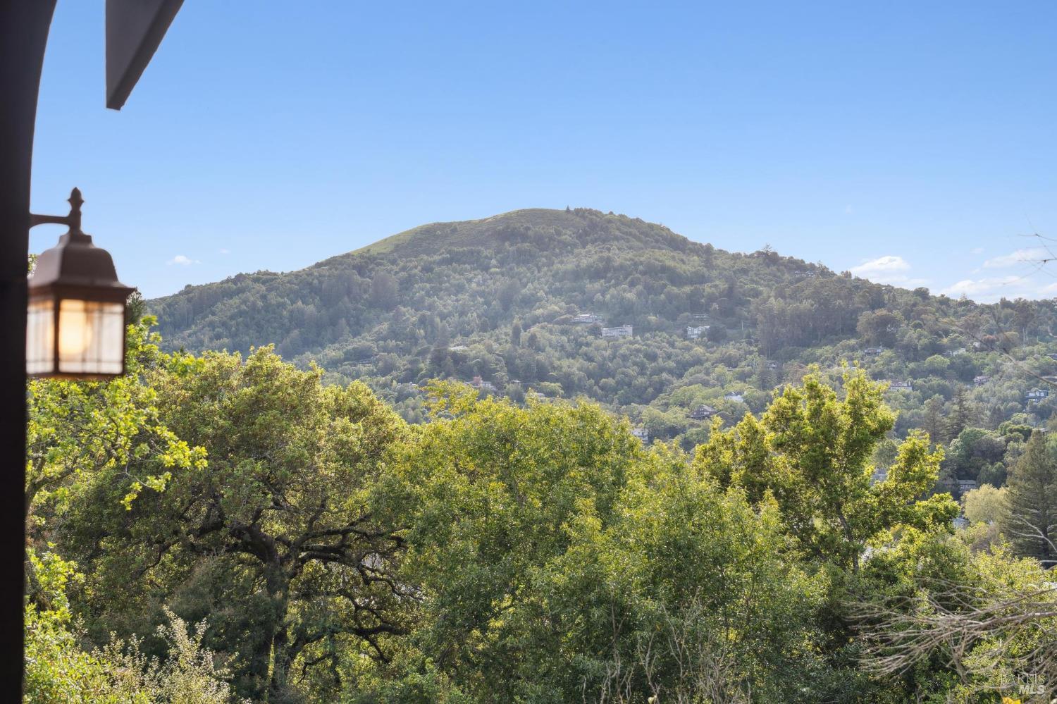 19 Del Norte Road San Anselmo, CA 94960 - Photo 22 of 23 Gallery Image 22