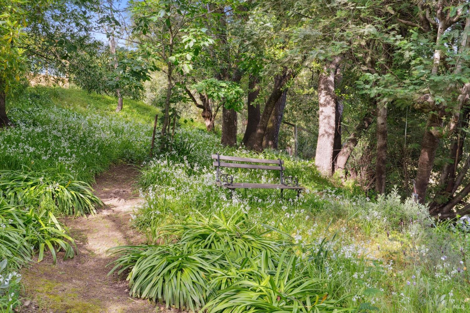 19 Del Norte Road San Anselmo, CA 94960 - Photo 23 of 23 Gallery Image 23