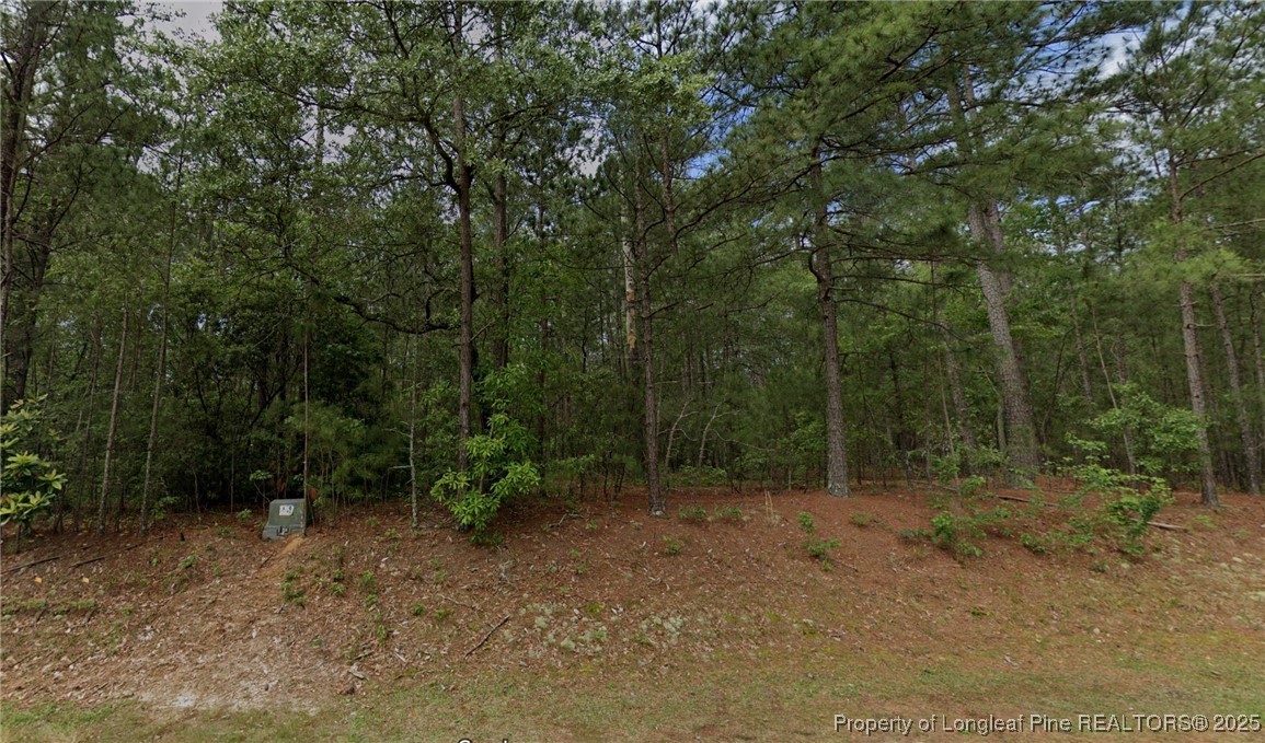 33 Peach Orchard Road Wagram, NC 28396 - Photo 1 of 12 Gallery Image 1