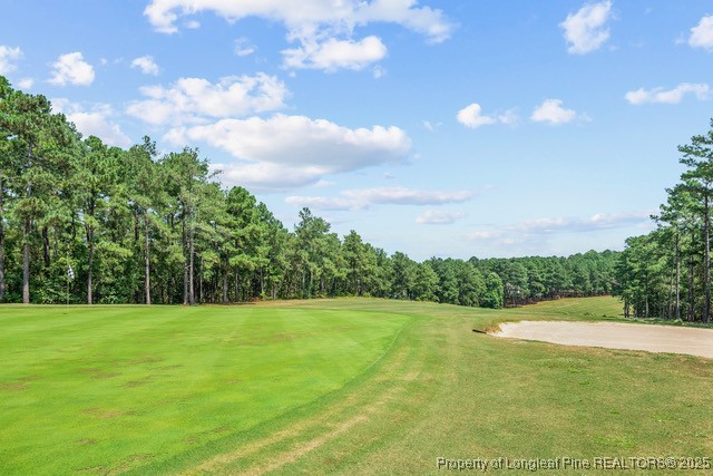 33 Peach Orchard Road Wagram, NC 28396 - Photo 9 of 12 Gallery Image 9