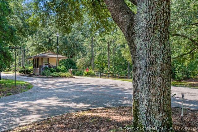 33 Peach Orchard Road Wagram, NC 28396 - Photo 10 of 12 Gallery Image 10