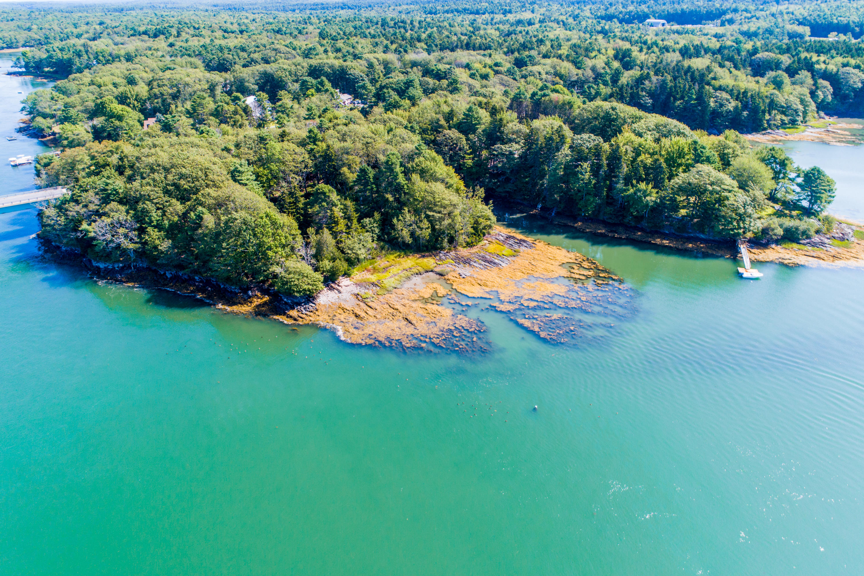 0 Mountain Road Harpswell, ME 04079 - Photo 18 of 20 DJI_0001