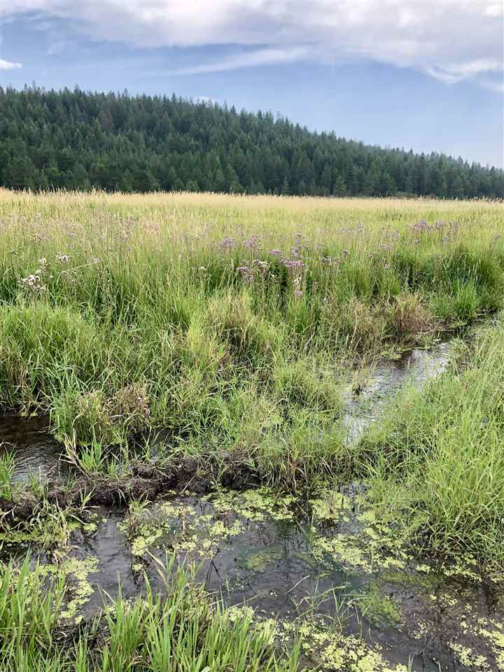 Lot 3 North Jefferson Road Elk, WA 99009 - Photo 6 of 10