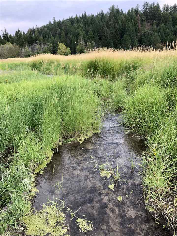 Lot 3 North Jefferson Road Elk, WA 99009 - Photo 7 of 10