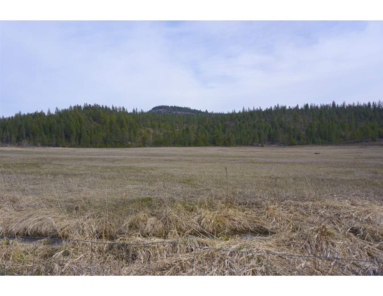 Lot 3 North Jefferson Road Elk, WA 99009 - Photo 8 of 10