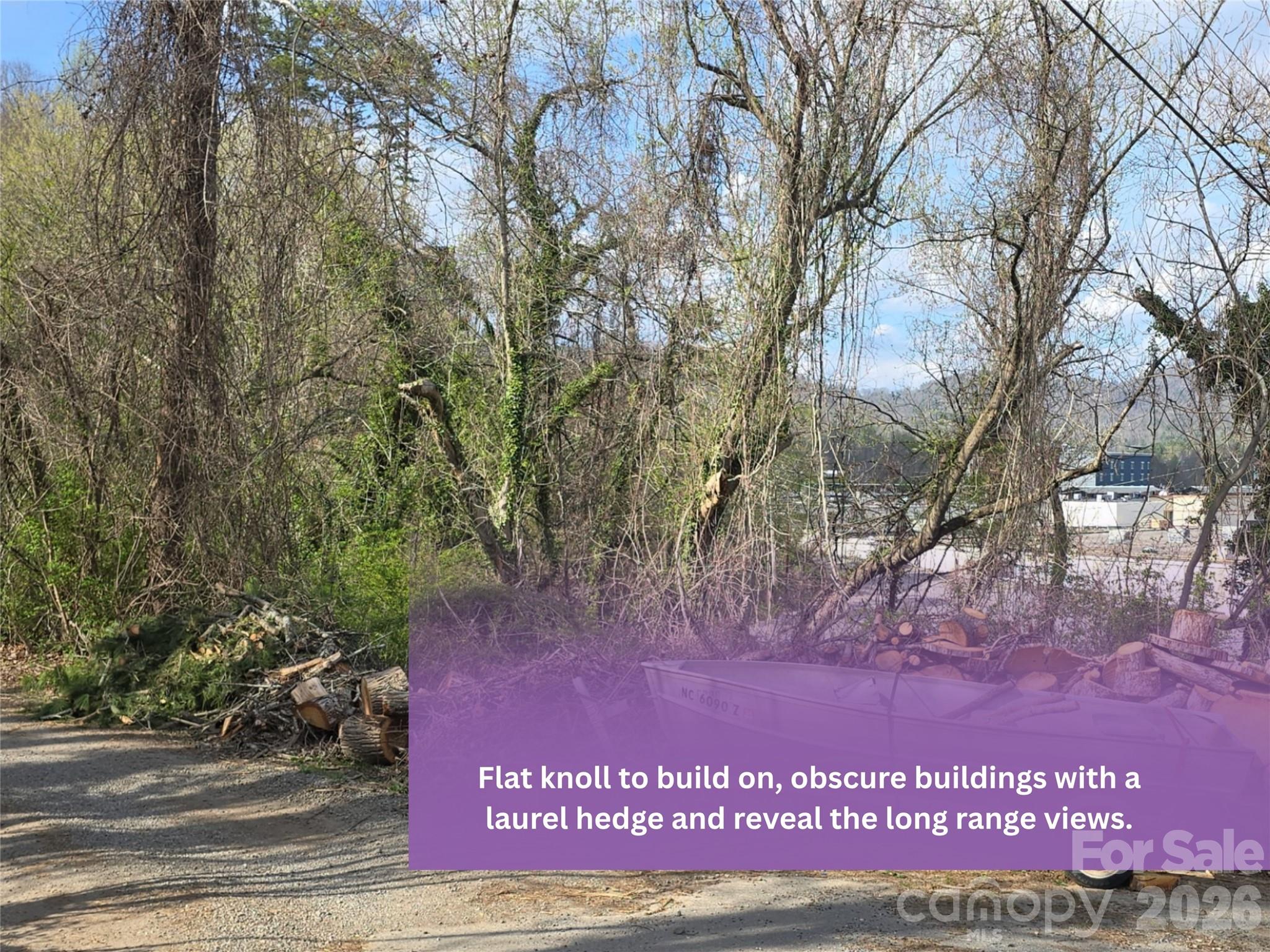 999999 Beaucatcher Road Apex, NC 27523 - Photo 4 of 4