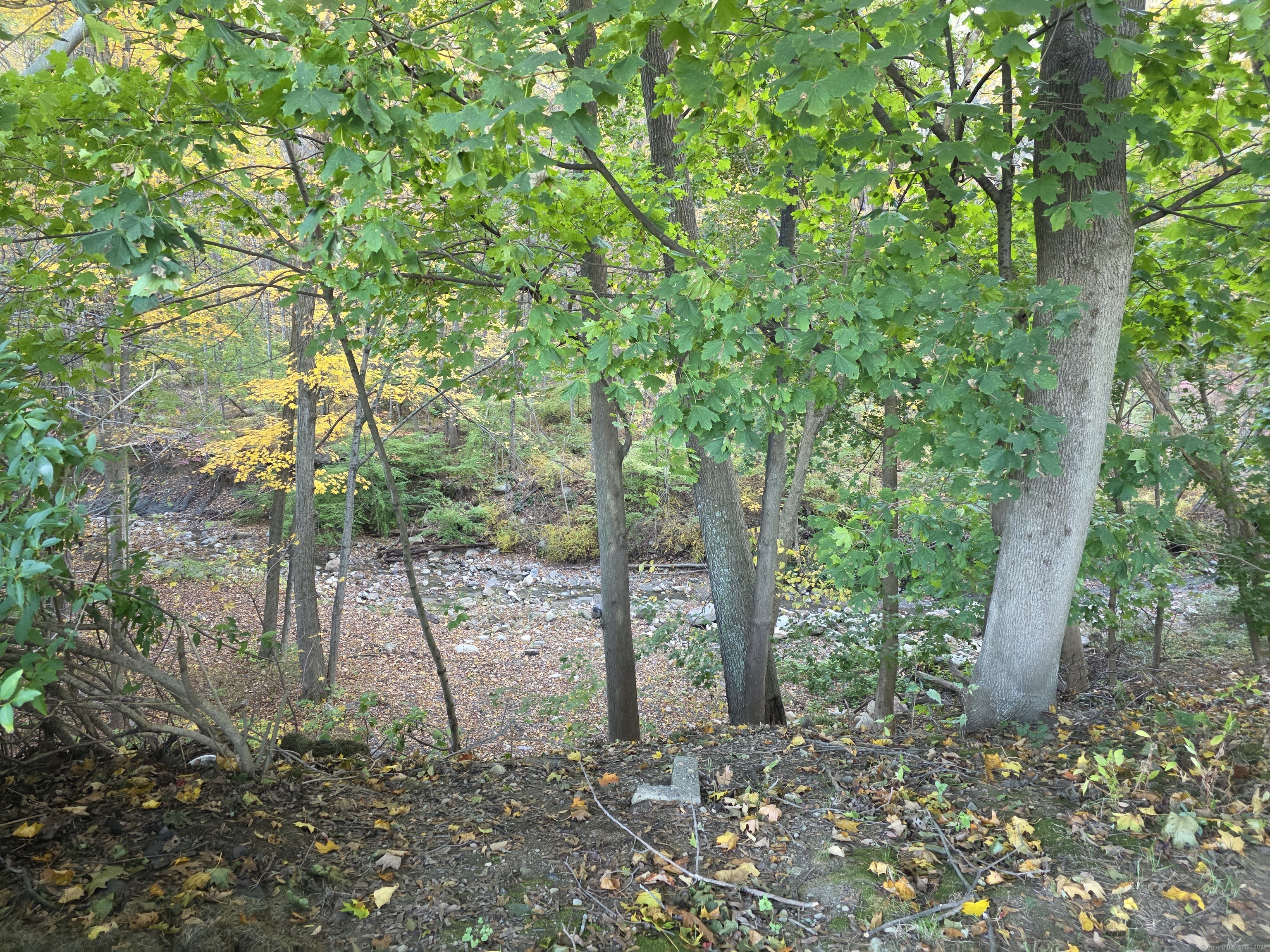 481 Bunker Hill Avenue Waterbury, CT 06708 - Photo 14 of 14 a backyard of a house with lots of green space