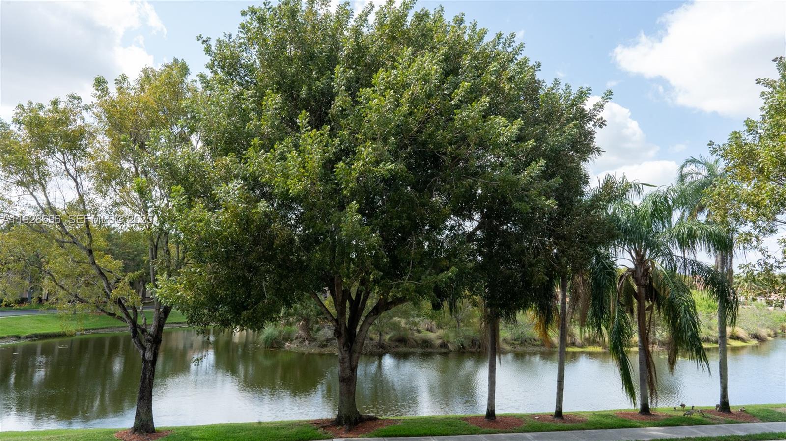 2406 Centergate Drive, Unit 201 Miramar, FL 33025 - Photo 28 of 41 a view of outdoor space with trees