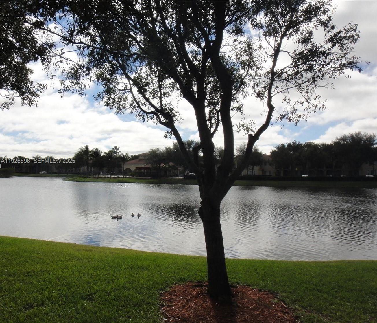2406 Centergate Drive, Unit 201 Miramar, FL 33025 - Photo 35 of 41 a view of lake with green yard