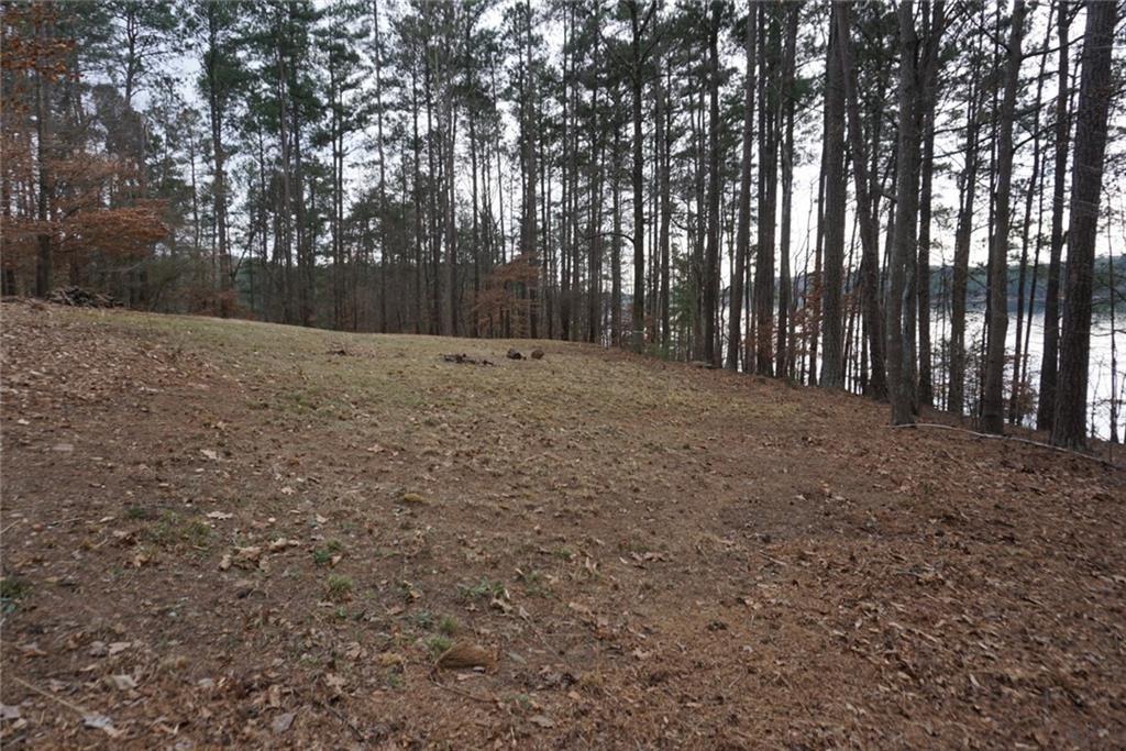 1739 West Green Road Buford, GA 30518 - Photo 6 of 8 a view of backyard with trees
