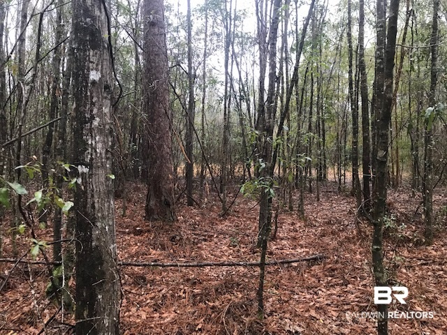 23588 Old Weekley Road Bay Minette, AL 36507 - Photo 25 of 30
