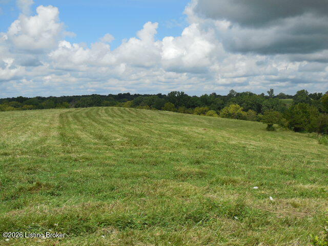239 Sewell Road Bethlehem, KY 40007 - Photo 21 of 37 DSCN3121