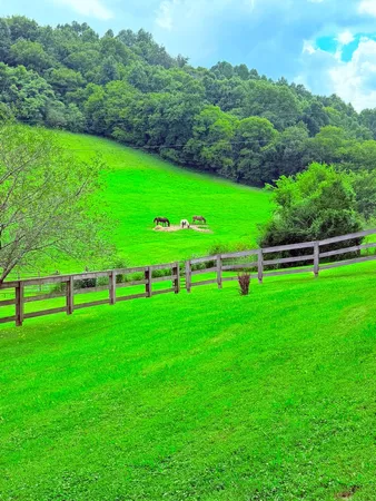 a view of an outdoor space and a yard