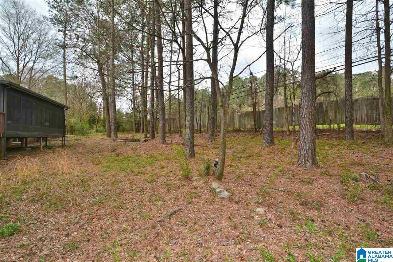 2428 Brook Run Birmingham, AL 35244 - Photo 49 of 50