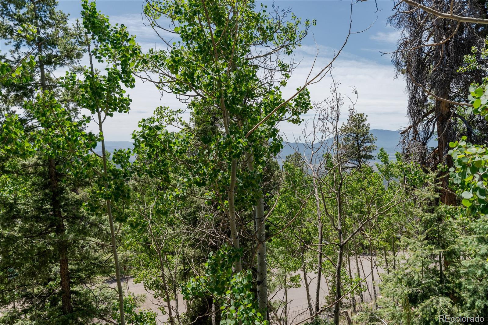 11682 Baca Road Conifer, CO 80433 - Photo 33 of 36