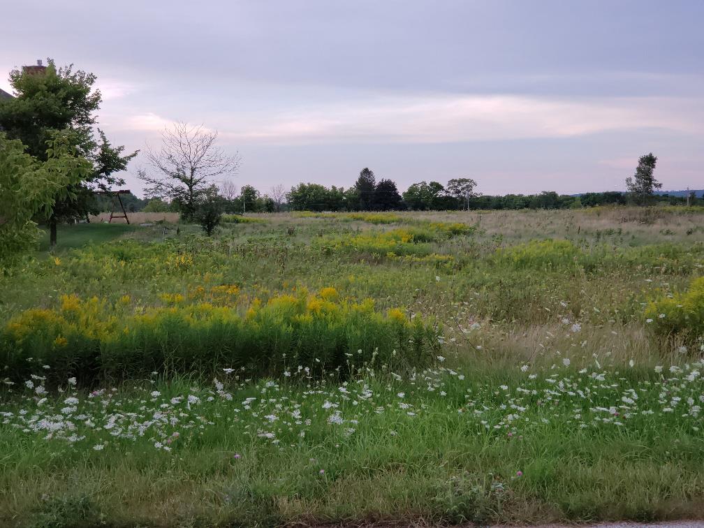 Lot 3 Barrick Road Sturgeon Bay, WI 54235 - Photo 3 of 9