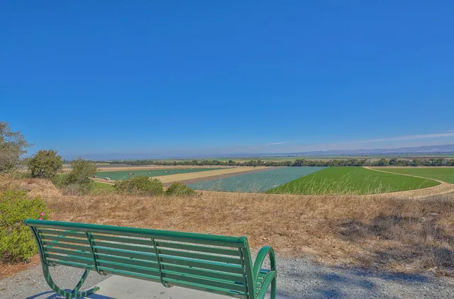 a view of a terrace with a sink and couch