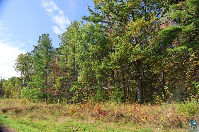 30-xxx Brevak Road Washburn, WI 54891 - Photo 24 of 50