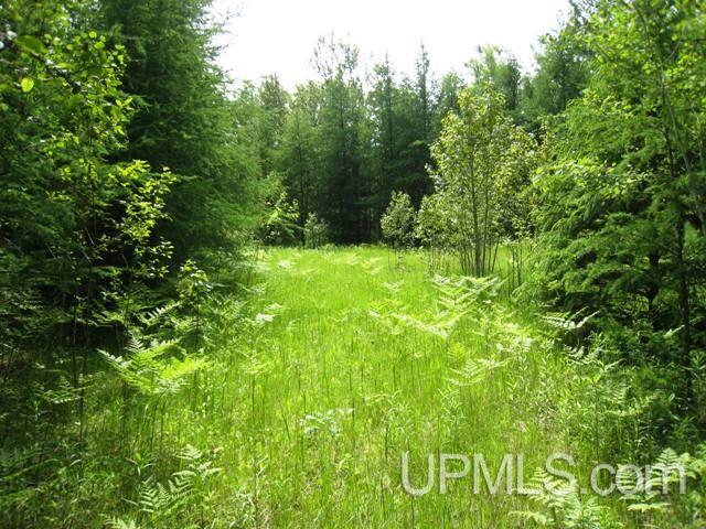 10 Saa Cornell, MI 49818 - Photo 18 of 20