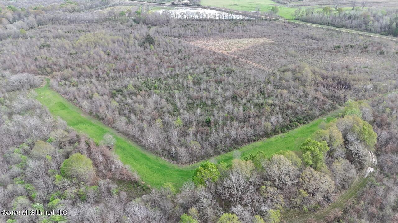 954 Jones Landing Road Wisner, LA 71378 - Photo 14 of 49 DJI_20260311130223_0042_D Large