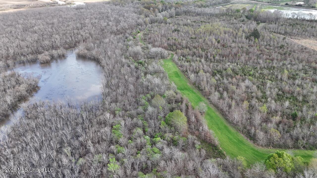 954 Jones Landing Road Wisner, LA 71378 - Photo 15 of 49 DJI_20260311130227_0043_D Large