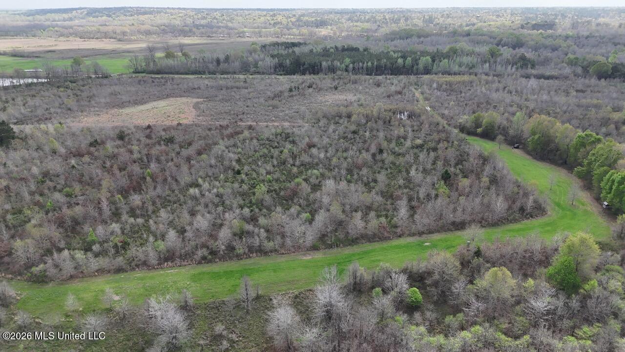954 Jones Landing Road Wisner, LA 71378 - Photo 16 of 49 DJI_20260311130418_0049_D Large