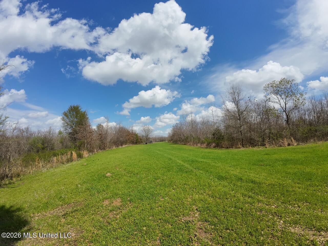 954 Jones Landing Road Wisner, LA 71378 - Photo 17 of 49 DJI_20260311131809_0079_D Large