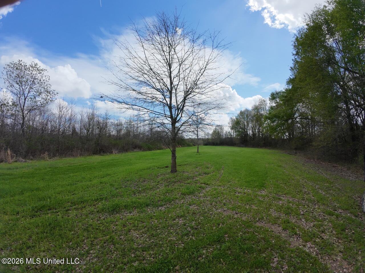 954 Jones Landing Road Wisner, LA 71378 - Photo 18 of 49 DJI_20260311131828_0080_D Large