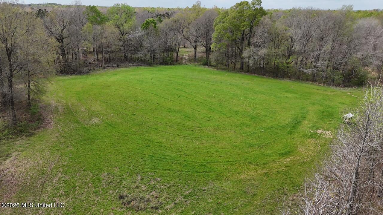 954 Jones Landing Road Wisner, LA 71378 - Photo 19 of 49 DJI_20260311135118_0054_D Large